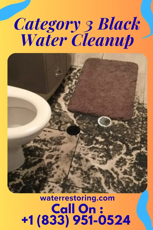Category 3 Black Water Cleanup in Westchester, FL